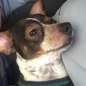 Meet your Posher, Lori